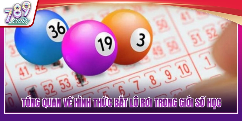 Khái niệm cơ bản về phương pháp bắt lô rơi 